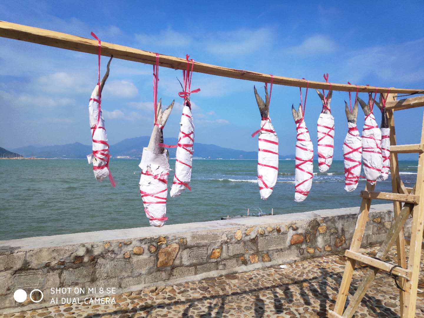深圳心理咨询专家释梦