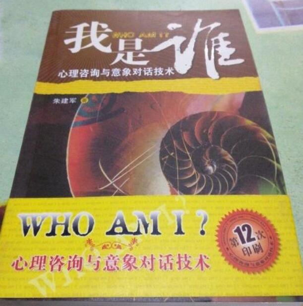 我是谁意象对话心理咨询技术