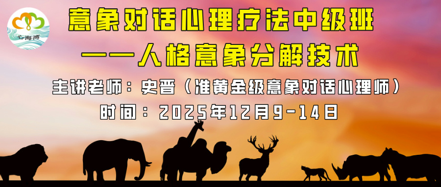 【史晋老师】2025年12月深圳心海湾 第15届意象对话中级班——人格意象分解技术 