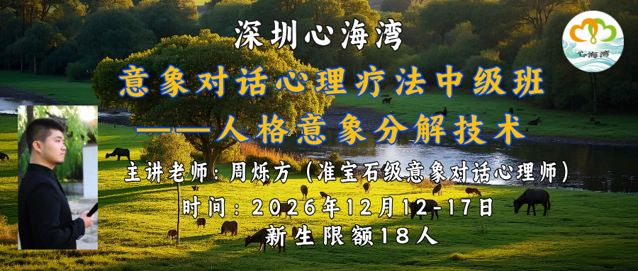 2026年12月 深圳心海湾第16届意象对话中级班——人格意象分解技术（主讲导师：周烁方） 